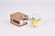 HS294200-0650