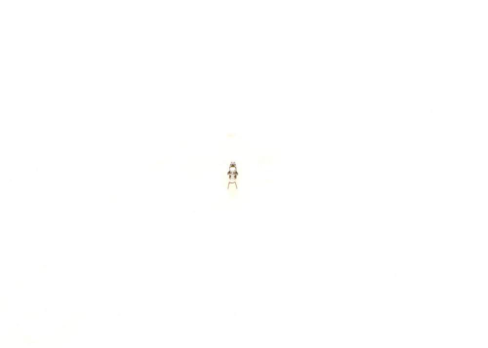 1284477176