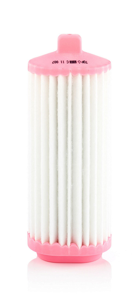 C11007
