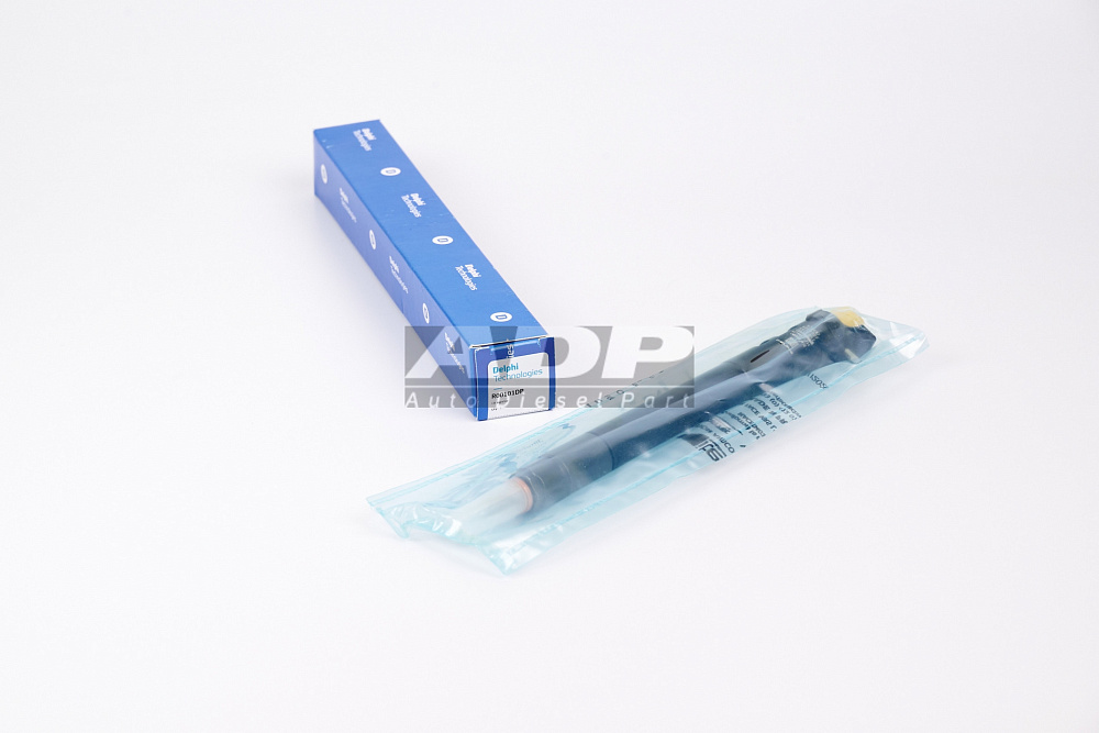 R00101DP