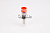 LWDLLA149P2507
